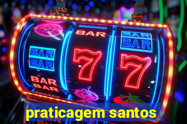 praticagem santos